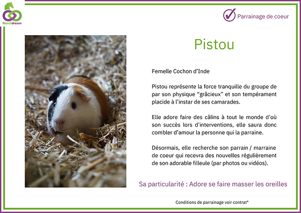Fiches de parrainage Pistoupartout.png