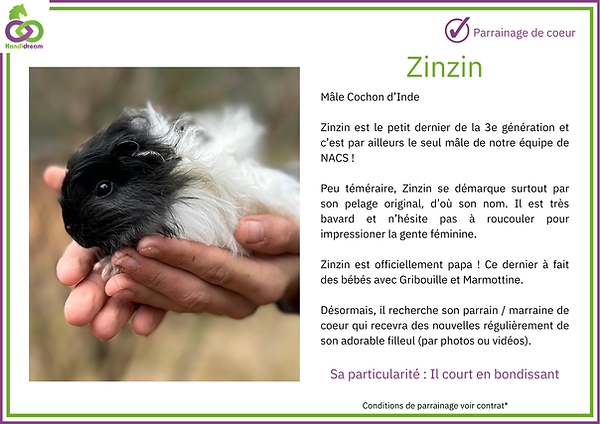 Fiches de parrainage Zinzibinzinz.png