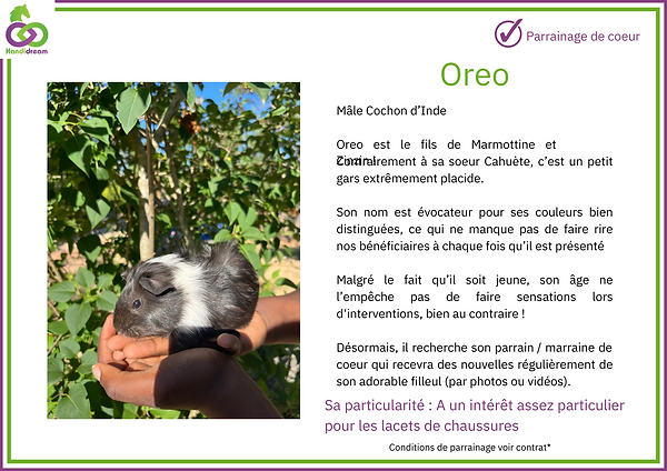 Fiches de parrainage Oréole.png