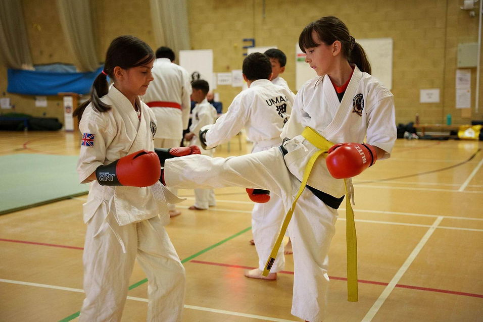 7deb25f5-6646-4a83-96a1-352e4b24a482.jfif