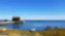 kingston.webp