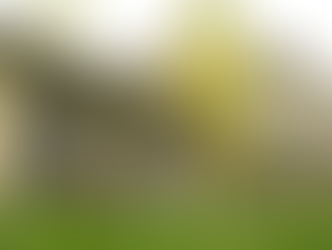 China's Paris-Aligned Climate ETF is unveiled by Franklin Templeton