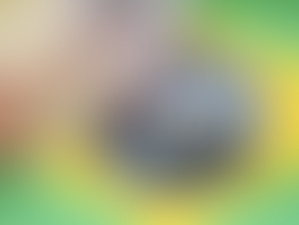 Brazil Sets October Deadline for Betting Operators to Seek Authorization Ahead of January 2025 Regulation