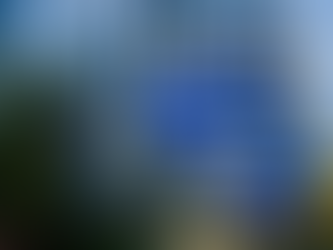 Eurozone Inflation Slows, ECB Contemplates Rate Cut Amid Economic Challenges