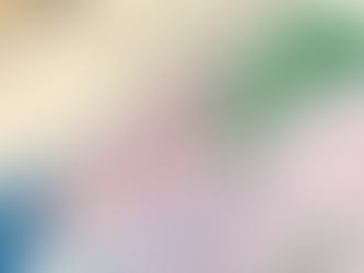 Schengen States Reject 1.6 Million Visas in 2023, Generating €130 Million in Funds