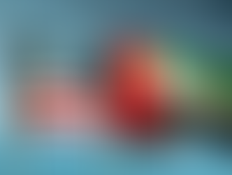 US Deputy Treasury Sec.: UAE financial sector to be vigilant in addressing Russian sanctions evasion