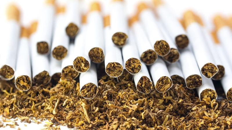 AUSTRAC Unmasks $83 Million Laundering Web in Illicit Tobacco Crackdown