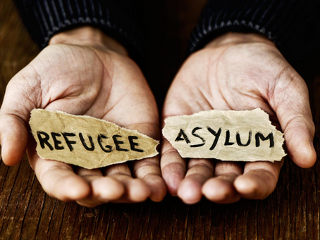 Asylum and Temporary Protection Applications Drop Significantly Across EU in 2024 and Early 2025
