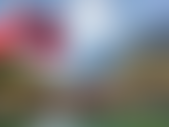 The super-rich are fleeing Norway at an all-time high as the wealth tax rises marginally