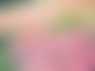 Germany Temporarily Suspends Visa Appeals for Citizens of China, Morocco, and Turkey