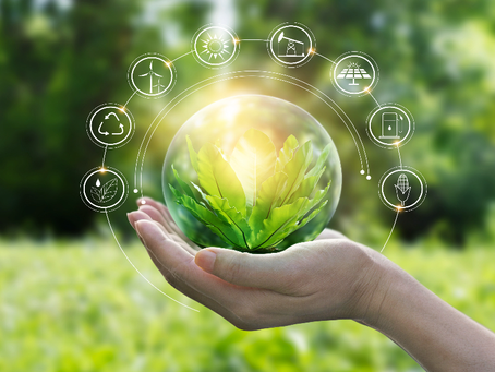 Speeding Up Transition to Green Economy Cheaper for Euro Zone, Says ECB Study