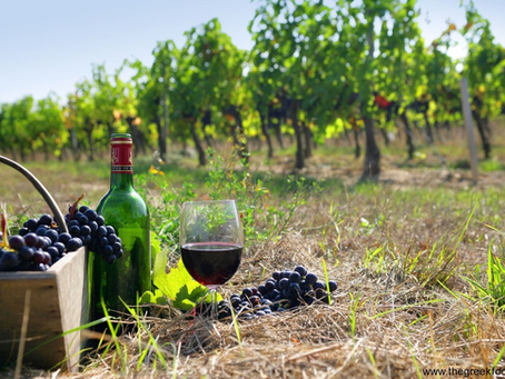 Greece Launches Platform for Hiring Egyptian Seasonal Workers in Agriculture