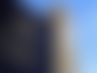 EU Court Rejects Parliament's Action for Visa Reciprocity with the US