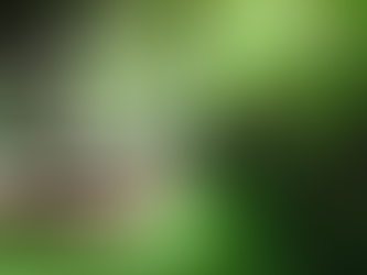 ESG’s regulatory struggle