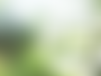 Market for green bonds surpasses $2 trillion