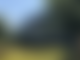 Google Adjusts Ad Policy for Social Casino Apps, Allowing Customization Outside Sensitive Wagering Category