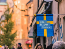 Spelinspektionen Cracks Down on Illegal Gambling: Issues Bans to True Polygon Entertainment and Smein Hosting