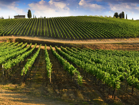 Addressing Labor Demands: Italy's Surge in Agricultural Worker Applications and Collaboration with India