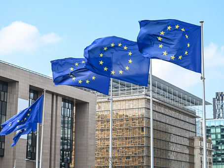 German Lawyer Seeks to Sue EU Council for Defamation Over Usmanov Sanctions Rationale