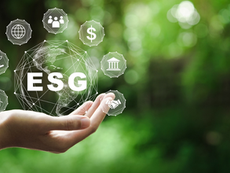 Navigating the Evolving Landscape of ESG: Insights from Industry Experts