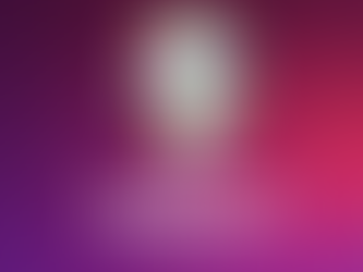 Germany Prepares Stringent Security Measures for Euro 2024: Temporary Border Controls Planned