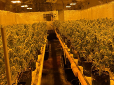 Chinese National Charged in Maryland Money Laundering Case Has Links to Maine Cannabis Operations