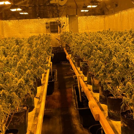 Chinese National Charged in Maryland Money Laundering Case Has Links to Maine Cannabis Operations