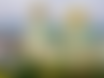 Bulgaria's Schengen Zone Entry Delayed for 2023 Due to Dutch Caretaker Cabinet