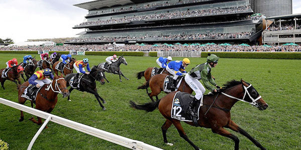 Finland to Incorporate Horseracing in Newly Competitive Gambling Market