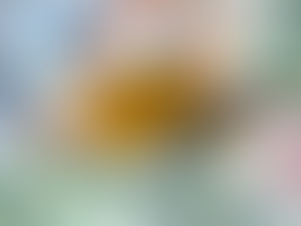 Assessing Cyprus' Economic Landscape: Insights from the 16th Evaluation