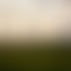 EU Wind Turbine Manufacturing Climbs to Ten-Year High as Renewable Industry Gains Strength