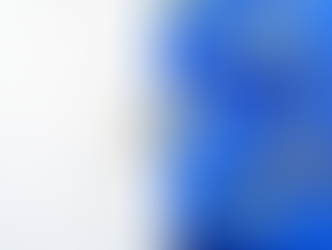 Europe's Evolving Fiscal Framework: Challenges and Prospects