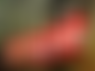 Canadian Financial Firms Scramble to Meet FINTRAC’s March 31 Reporting Deadline