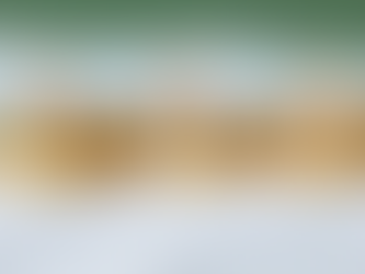 Unveiling the Tax Responsibility and Transparency Index: A Paradigm Shift in Corporate Tax Accountability