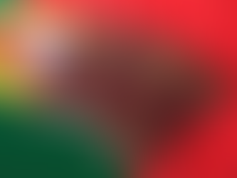 Portuguese Citizenship Applications Quadruple in Six Years, Processing Delays Persist