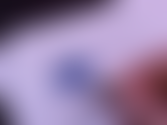 Ethnic Profiling Concerns in Schengen Visa Applications