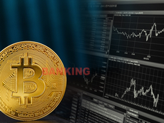 The rival of the shares is Bitcoin, its value will increase 100 times - The elders control the world