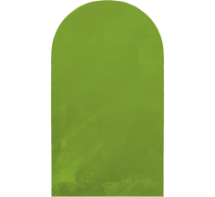Illus1 Back.png