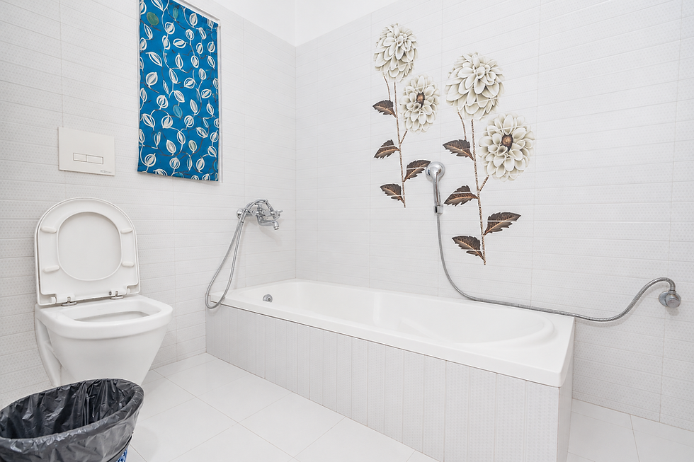 Deluxe Bathroom 1