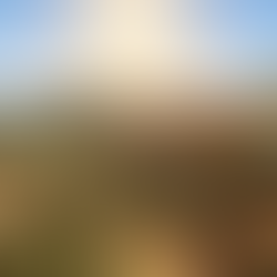 Buy Land in Portugal: Ruin with Potential or Expensive Wasteland?