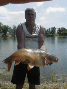 tukorponty-225x3001_másolata_másolata.gif
