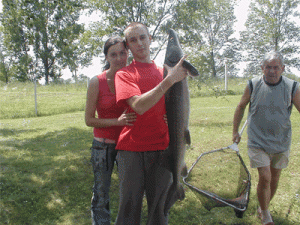 tokhal-300x225_másolata_másolata.gif