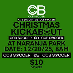 Untitled_Artwork (51).png