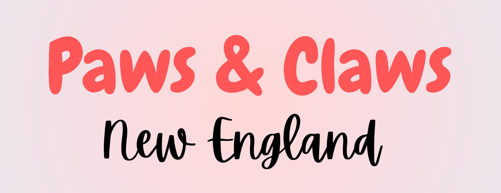 Paws Process Our Process | Paws & Claws NE