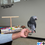 Thumbnail: Baby African Grey [Timneh]