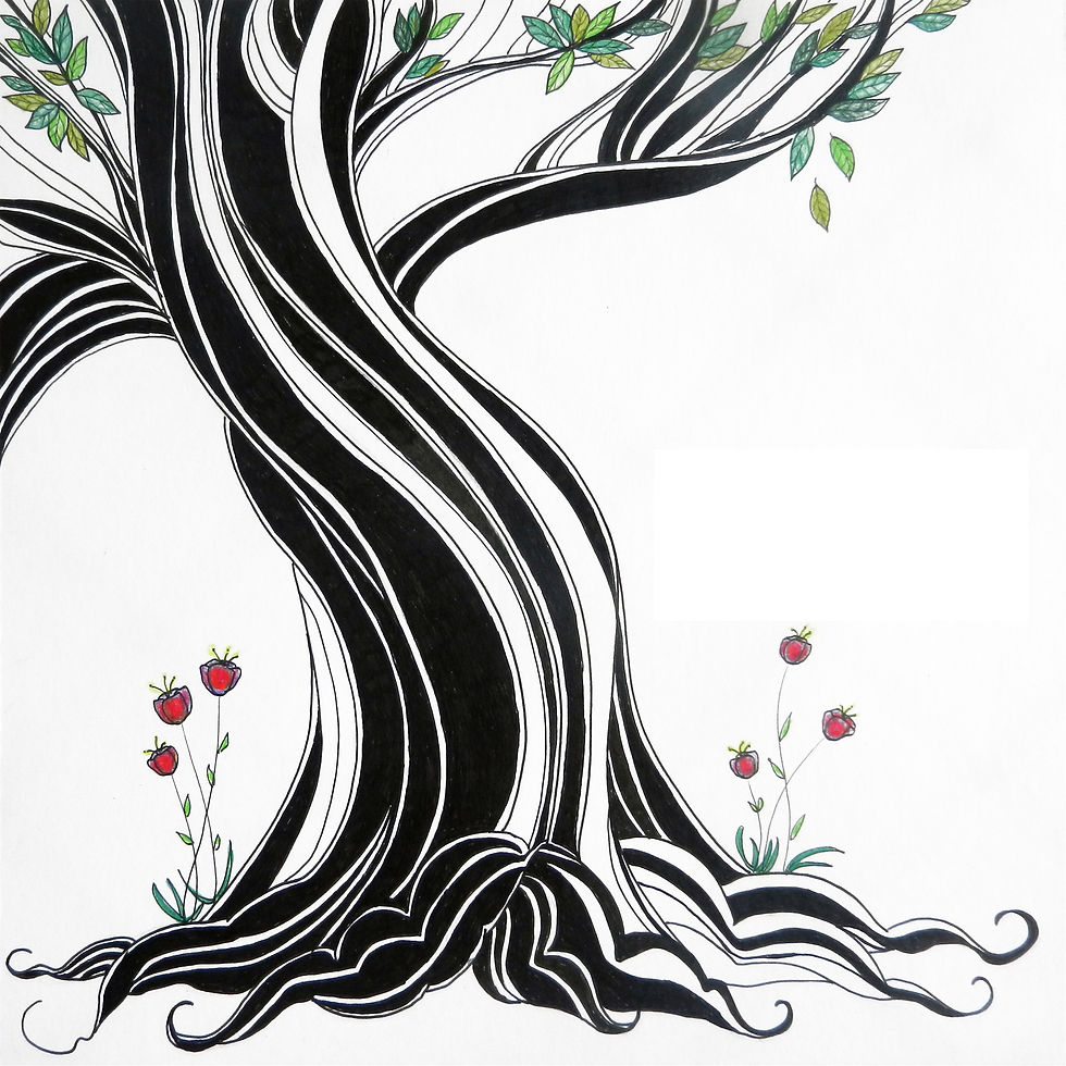 Jaime & Vivi La Historia.jpg