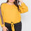 Thumbnail: Plus Size Color Block Sleeve Front Knot Semi-sheer Top