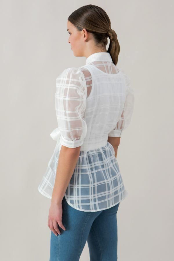 Thumbnail: A See-thru Mini Length Organza Top