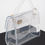 Thumbnail: Transparent Crossbody Bag