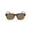 Thumbnail: Police Brown Acetate Sunglasses